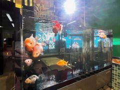 -華歡冰室-WahFoon(吉大店)