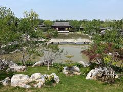 -上海滨江森林公园