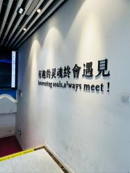 -神奇动物撸宠馆·羊驼·小浣熊·异宠(豫园店)