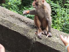 -黔灵山公园