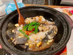 笋壳鱼-啫神·广州地标美食(北京路店)