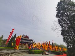 -大槐树寻根祭祖园