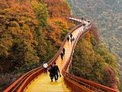 -少华山国家森林公园