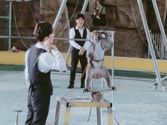 -泉州海丝野生动物世界