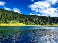 -武陵山森林公园