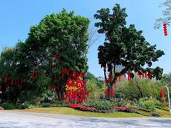 -人民公园(罗湖区)