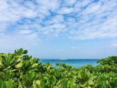 -三亚蜈支洲岛旅游区