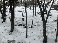 -天目湖涵田半山温泉