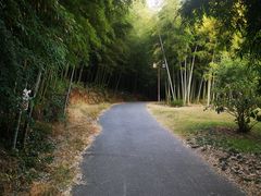 -苏州环秀晓筑养生度假村