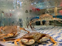 -黄泥岗·地道湖北菜(奥特莱斯店)