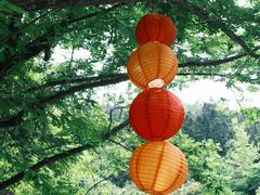 -石台牯牛降景区
