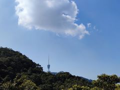 -梧桐山风景名胜区