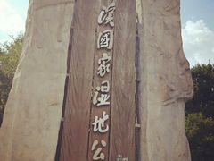 -太极禅苑