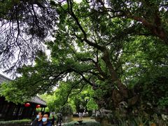 -绍兴书圣故里景区