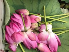 -铁道游击队纪念馆