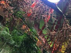 -新世纪绿洲(抚顺店)
