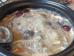 -蘑统田下·野生菌火锅