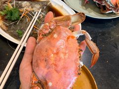 -蓝珊甄选海鲜自助·火锅大排档(近阿那亚店)