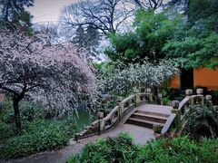 -北寺塔
