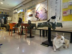 -平行世界·猫咖(首经贸店)