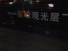 -紫峰大厦