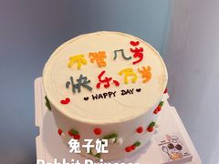 ins手绘蛋糕-兔子妃私人定制蛋糕(城南花苑南区店)