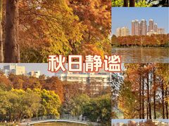 -光明小镇欢乐田园