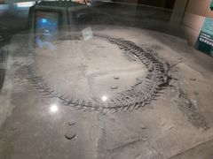 -大同煤炭博物馆