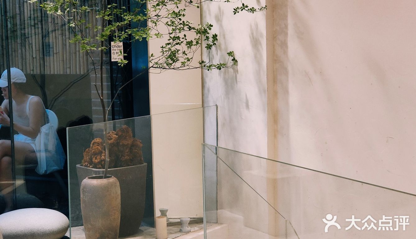 【咖啡测评】梧桐叶影子撒在咖啡上，武康路超好拍落地窗咖啡店