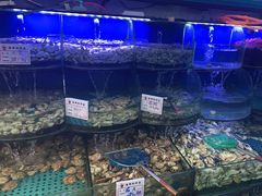 水产区-鼓歌海鲜舫·手抓海鲜(大学城店)