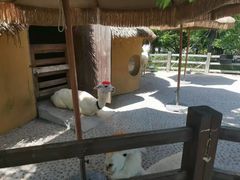 -珠海海泉湾神秘岛亲子乐园