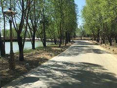 -泰安地下龙宫景区