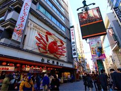-蟹道乐(網元別館店)
