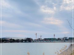 -羊山湖公园