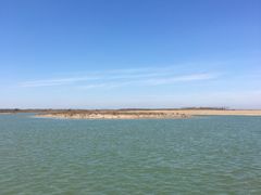 -盐城丹顶鹤湿地生态旅游区