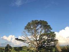 -霍比特人村