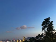 -板樟山森林公园