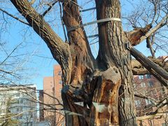 -清华大学玉泉医院