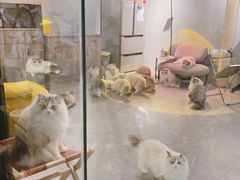 -至艾推拿院·三伏灸(昆城广场店)