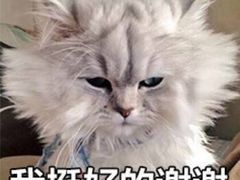 -瑞幸咖啡(尼盛尚品汇店)