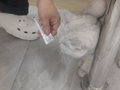 -宠颐生宠物医院·综合诊疗(先锋分院)