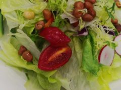 -大鸭梨烤鸭店(金顶街店)