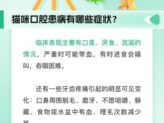 -瑞派申生动物医院·24H夜诊·国际动物医疗中心·骨外科(吴中路店)