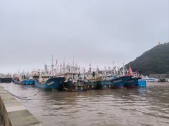 -沈家门渔港