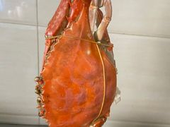 -营口路海鲜市场