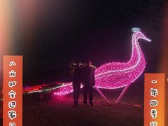 -光明小镇欢乐田园