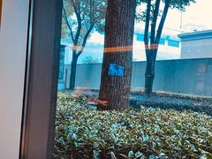 -上海宝华万豪酒店