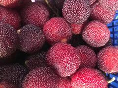 -老炳·七丛松甘草水果