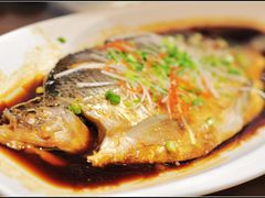 野生高白鲑鱼-阿罗新疆菜(人民广场店)
