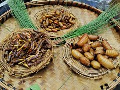-昆虫窝子·特色云南菜(拓东路总店)
